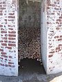 Hermit crabs taking shade in day beacon