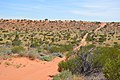 Munga-Thirri National Park in Queensland