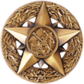 Chief Professional Officer Badge