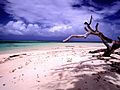 Image 23Beach scenery at Laura, Majuro, Marshall Islands (from Micronesia)