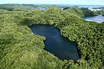 Aerial view of Jellyfish Lake