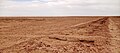 Dismantled railway line near Lake Eyre South, South Australia