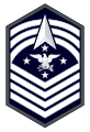 Space Force insignia (2023–present)[13]