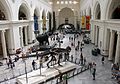 Image 18The main hall of the Field Museum of Natural History in 2007, with Sue the T. rex in the foreground (from Culture of Chicago)