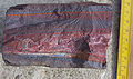 Image 27A banded iron formation from the 3.15 Ga Moodies Group, Barberton Greenstone Belt, South Africa. Red layers represent the times when oxygen was available; gray layers were formed in anoxic circumstances. (from History of Earth)