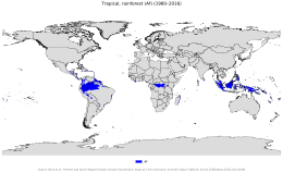 Tropical rainforest climate Region