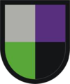 1st Special Forces Command, 95th Civil Affairs Brigade, 91st Civil Affairs Battalion