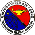 Professional Military Education Badge