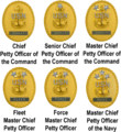 Command Senior Enlisted Leader Identification Badges