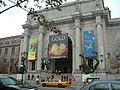 American Museum of Natural History