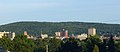 Binghamton, the fourteenth largest.