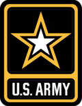 Star Shoulder Sleeve Insignia