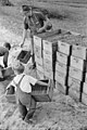 Arthur Rothstein, Child Labor, Cranberry Bog, 1939. Brooklyn Museum.