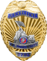 Military Police Badge