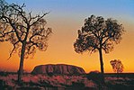 View of a large red sandstone monolith against a sunset sky and flanked by two silhouetted trees