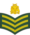 Staff sergeant (Barbados Regiment)[20]