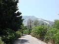 Penteli mountain as viewed from Dionysos