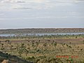 Desert savannah near Birdsville, Queensland