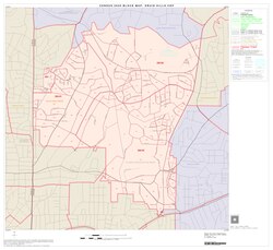 Druid Hills CDP, unincorporated DeKalb County