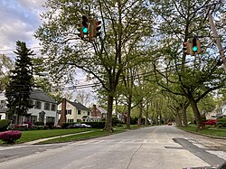 Park Avenue in Munsey Park, looking East.