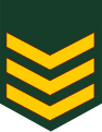 Sarjan (Malaysian Army)[60]