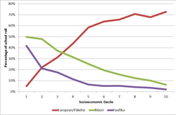 European/Pākehā students make up less than 10% of the student body in 1st-decile schools and over 70% in high-decile schools. Māori and Pasifika students make up 50 and around 42% respectively in 1st-decile schools, and less than 10% each in 10th-decile schools.