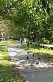 Walking path along the salt marsh