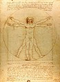 Image 6Vitruvian Man by Leonardo da Vinci epitomizes the advances in art and science seen during the Renaissance. (from History of Earth)