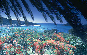 Harbor and Havensight view from Bluebeard's, 1980