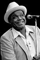 Image 12Willie Dixon (from Culture of Chicago)