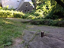 Randel's surveying bolt driven into rock