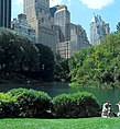 Central park scenery