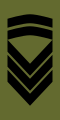 Stabssersjant (Norwegian Army)[33]