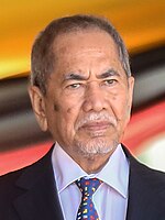 Wan Junaidi Tuanku Jaafar