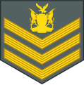 Staff sergeant (Namibian Army)[30]