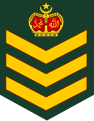 Staf sarjan (Malaysian Army)[27]