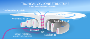 A schematic diagram of a tropical cyclone