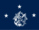 Flag of the Surgeon General of the United States (Vice admiral)