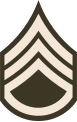 Staff sergeant (United States Army)[44]