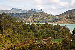 Northland landscape at Parua Bay