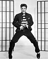 Image 25American singer Elvis Presley is known as the "King of Rock and Roll". (from Honorific nicknames in popular music)