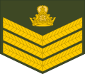 Staff sergeant (Lesotho Army)[25]