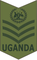 Staff sergeant (Ugandan Land Forces)[41]