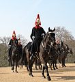 Troopers of the Blues and Royals on mounted duty in Whitehall, London