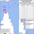 Languages used at home by Torres Strait Islanders in localities with significant share of Torres Strait islander population[54]