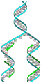 Image 12The replicator in virtually all known life is deoxyribonucleic acid. DNA is far more complex than the original replicator and its replication systems are highly elaborate. (from History of Earth)