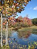 Autumn scenery on the hiking trails of Verona Beach State Park.