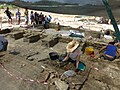 Excavations at Caulonia in August 2013