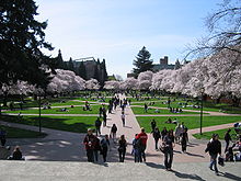 University of Washington Quad