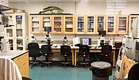 Lab room at the aquarium